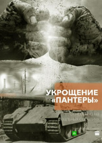 Укрощение «Пантеры» (2025)