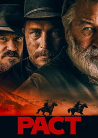 Случайный выстрел (2024)