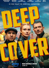 Под прикрытием (2025)