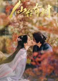 В Сендае растут деревья (2025)