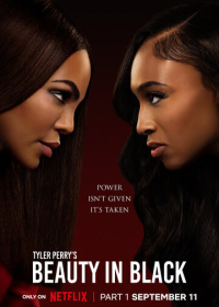 Красота в тёмных тонах (2024)