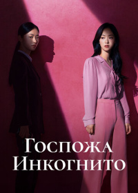 Госпожа Инкогнито (2025)