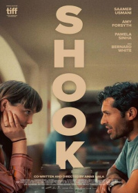 Потрясение (2024)