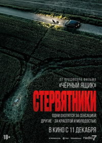 Стервятники (2025)